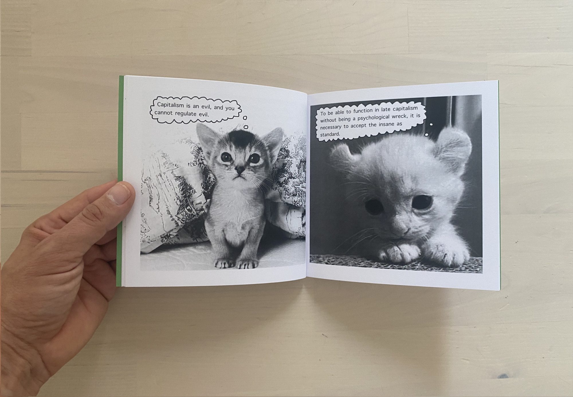 inside book Cute Cats and Capitalism